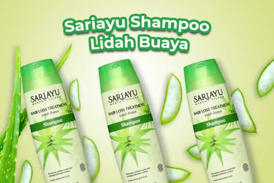 lidah buaya untuk rambut rontok