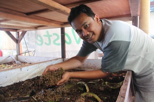 Untung Besar Kenali Cara Budidaya Maggot Ini Teropong Media