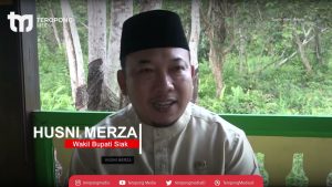 Ikan Gabus Di Lahan Gambut, Kombinasi Cuan Sambil Tetap Jaga Hutan