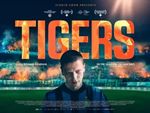 Film Tigers