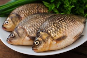 Manfaat Ikan Gurame