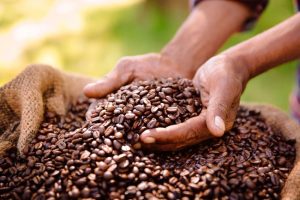 kopi asli