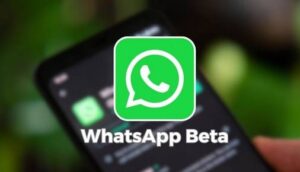 WhatsApp Beta fitur