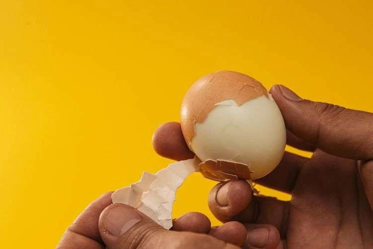 Mengonsumsi Telur Berlebihan