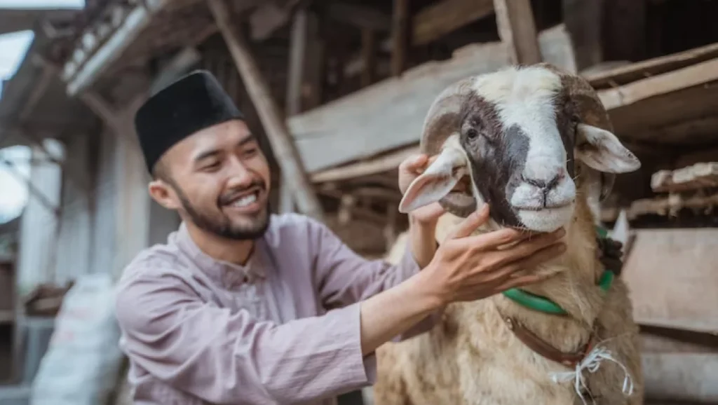 Sejarah Dan Asal Usul Ibadah Kurban Dalam Islam - Teropong Media