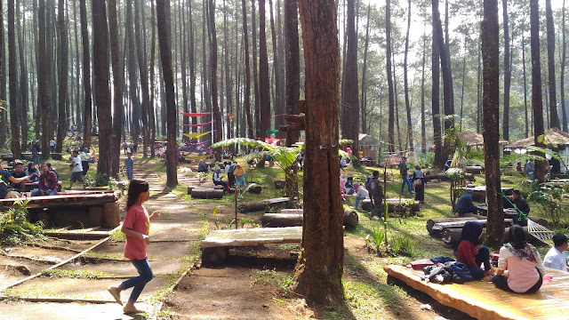 Aktivitas Menarik Wisata di Hutan Pinus Pal 16 17-7-2023