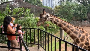 Kebun Binatang Bandung, Zona Petting Zoo
