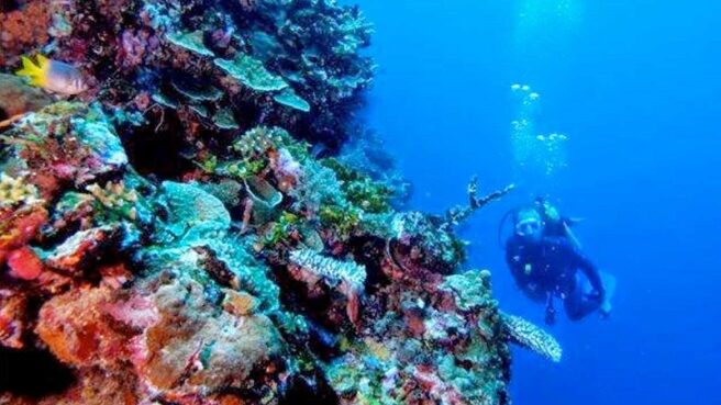 Rekomendasi 5 Wisata Laut Gorontalo, Anda Pasti Takjub! - Teropong Media