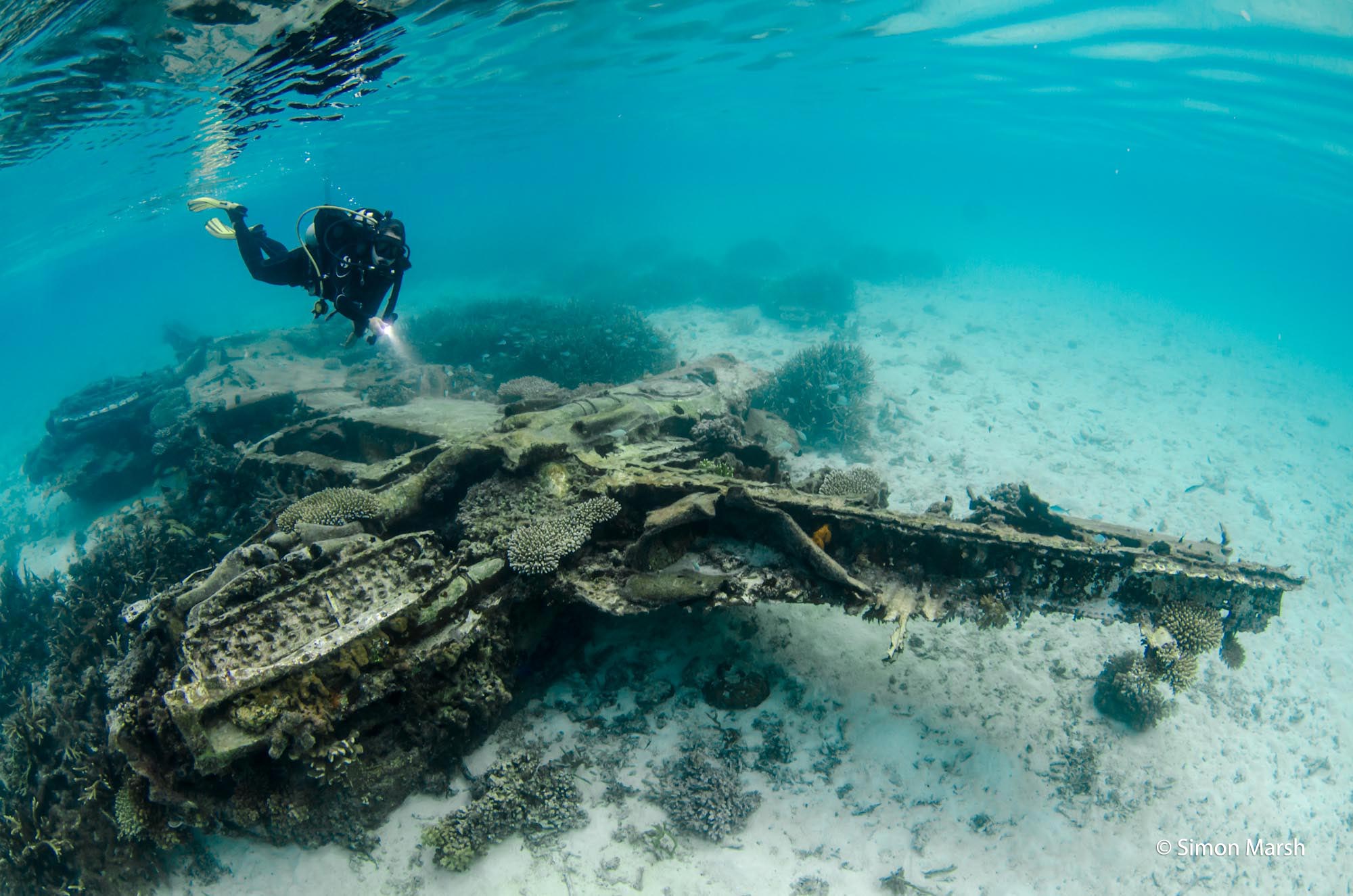 Surga Bawah Laut Pulau Rouw di Kepulauan Auri - Teropong Media