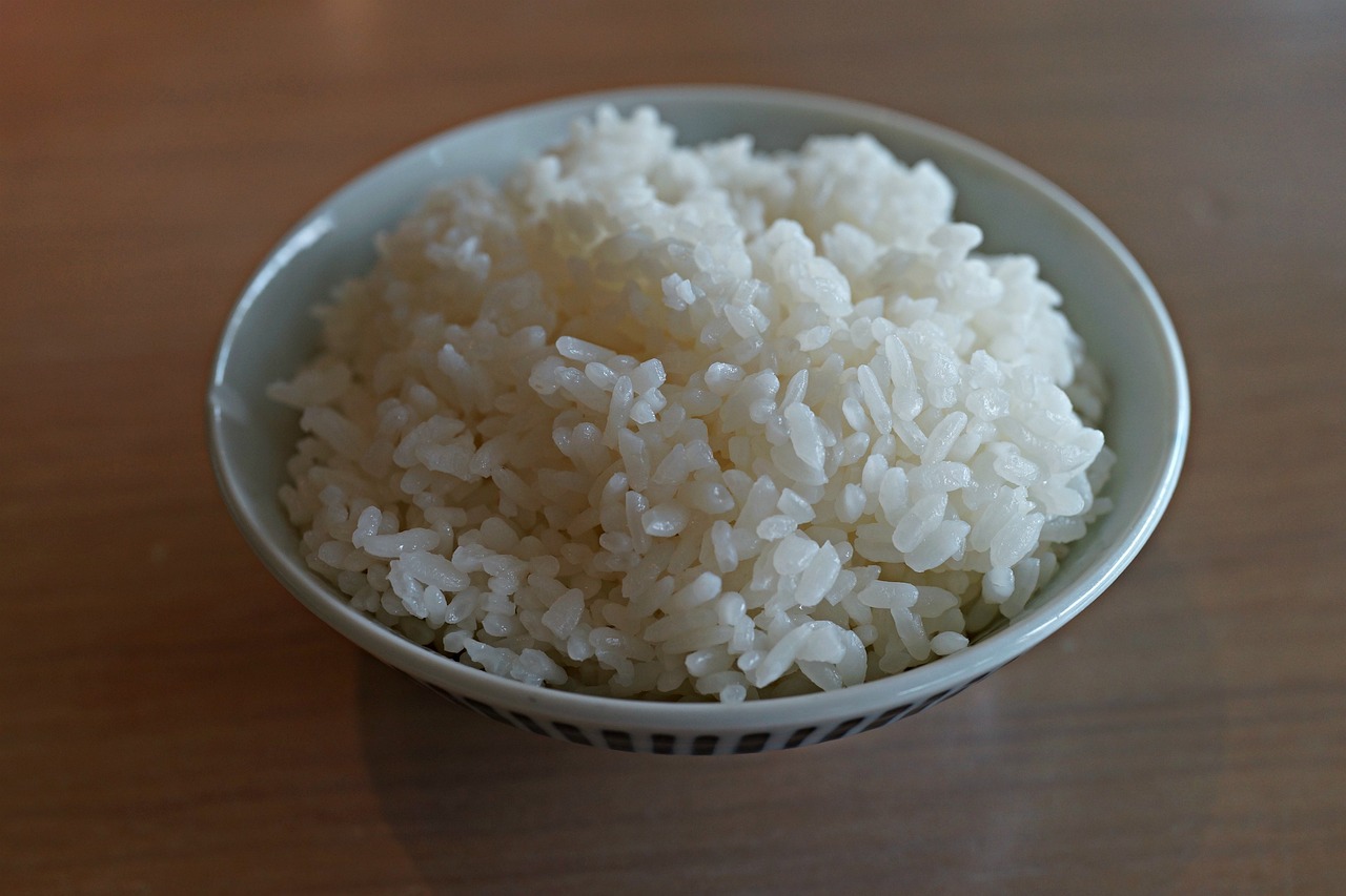 makan nasi sisa