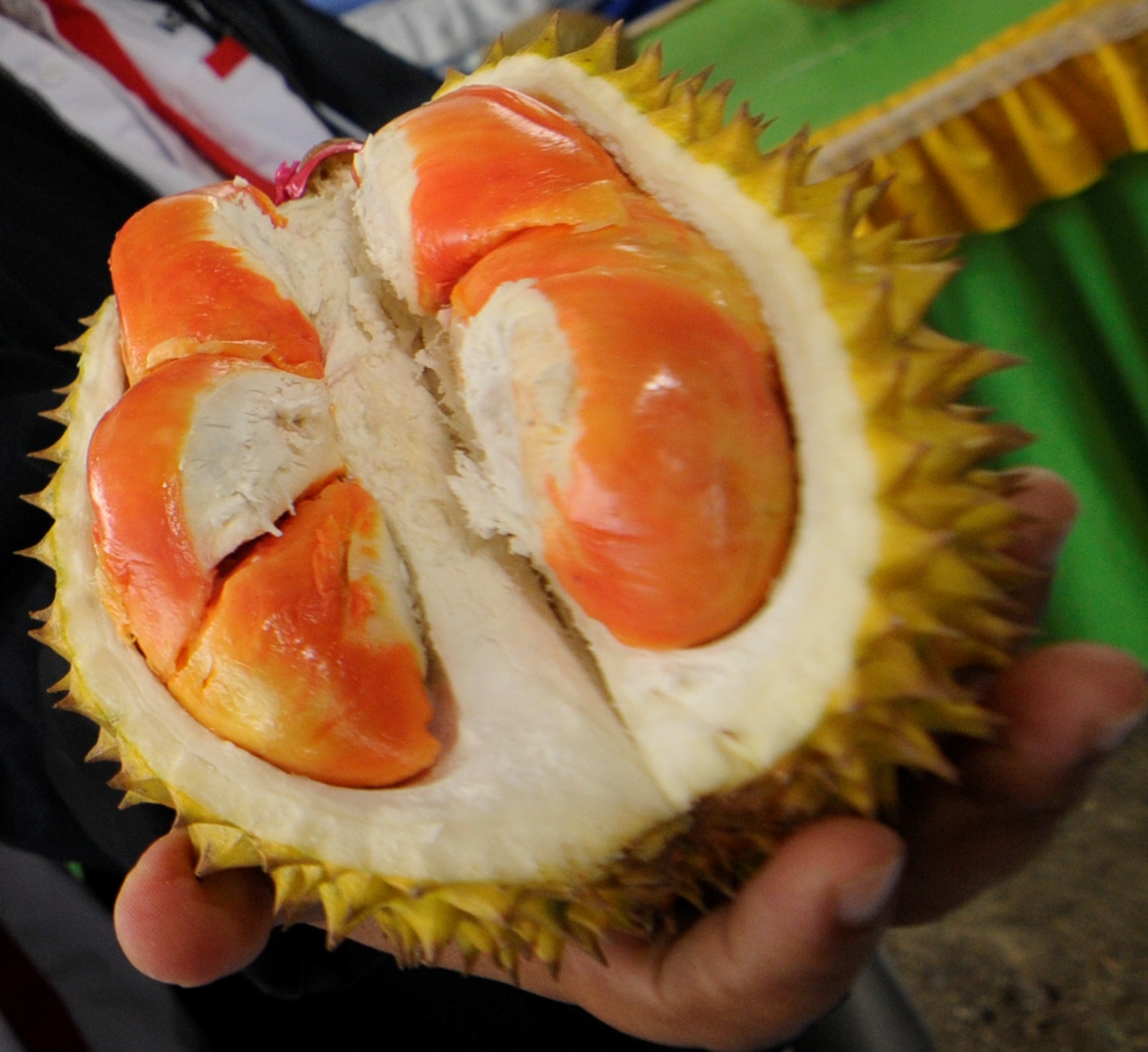 6 Durian Lokal Kualitas Terbaik, Rasa Tidak Mengecewakan!