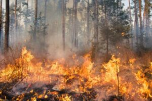 Gunung Batu Arjasari Kabupaten Bandung Terbakar