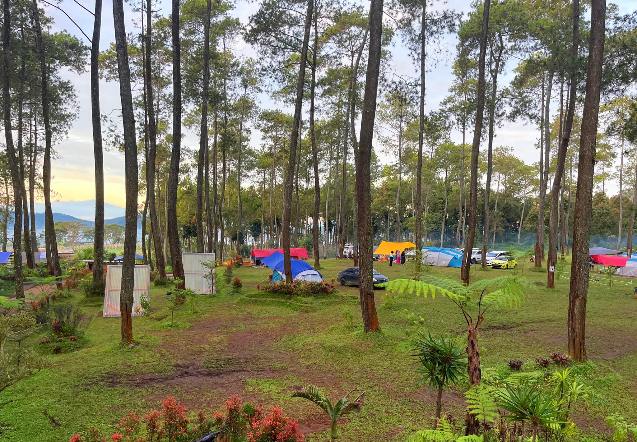 Wisata Murah Meriah di Kebon Pines Lembang 