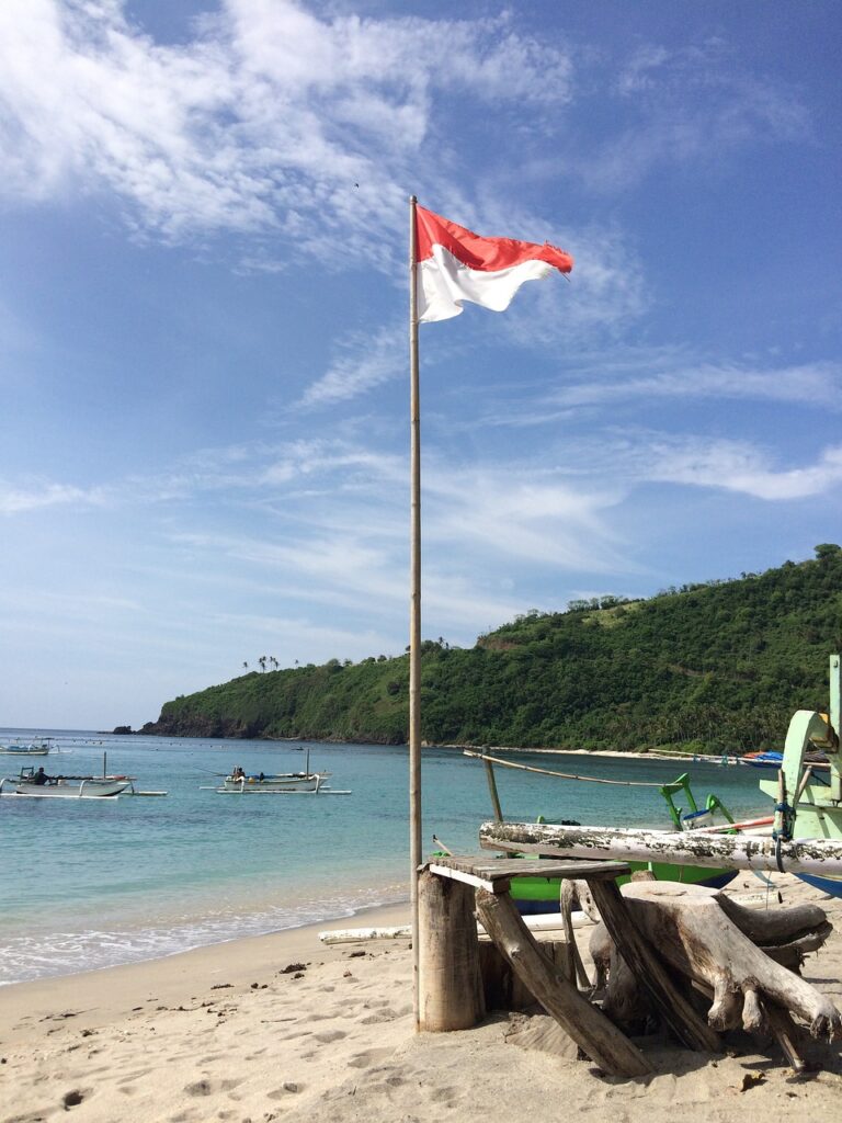 Tersangka Pelecehan Bendera Merah Putih pada Leher Anjing Dibebaskan