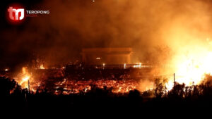 Kebakaran Hutan Menghantui Pulau Sisilia Italia, Warga Dievakuasi untuk Keselamatan