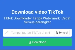 Unduh Lagu MP3 TikTok