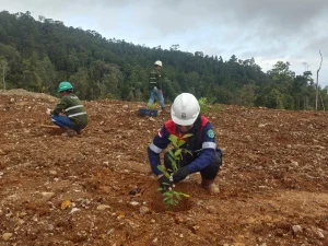 Peduli Bumi Tekindo Energi