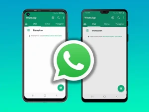 Fitur Multi-Akun WhatsApp