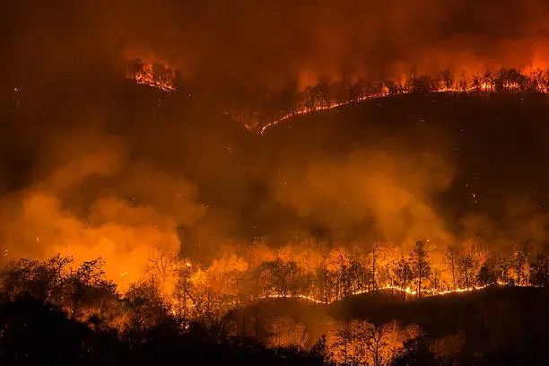 suhu ekstrem kebakaran hutan eropa california