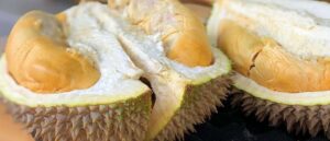 manfaat buah durian