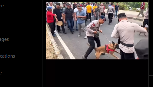 polisi digigit anjing