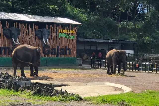 Lembang Park Zoo