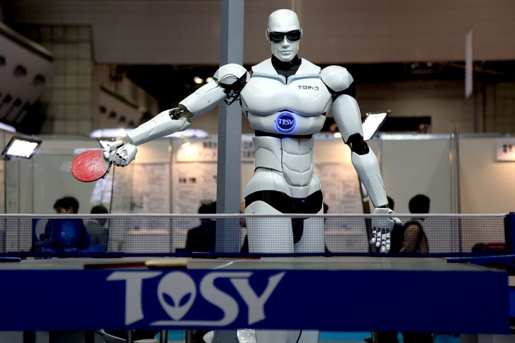 Robot Humanoid China