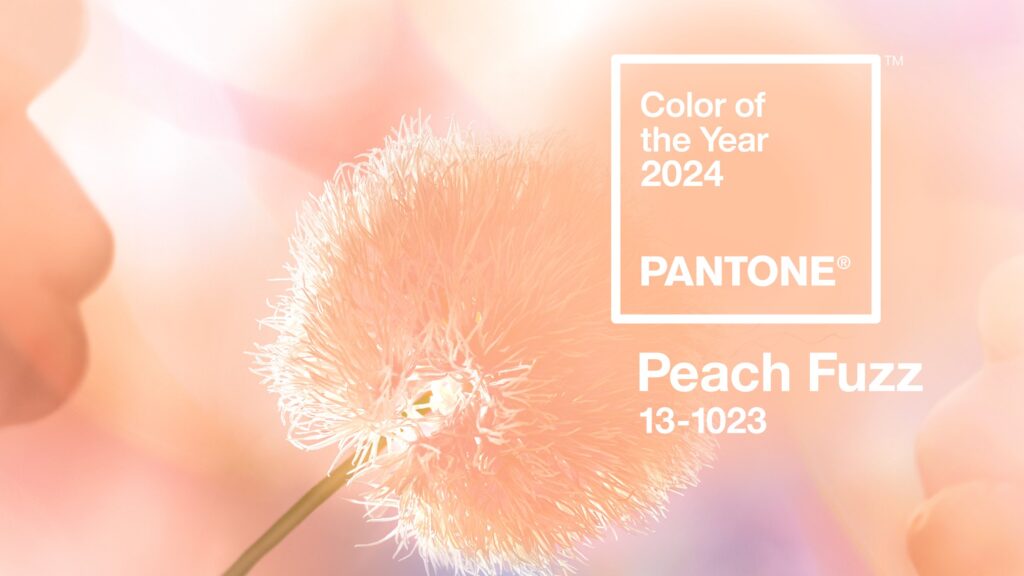 Pantone Peach Fuzz Film Edition