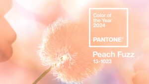 Pantone Peach Fuzz Film Edition