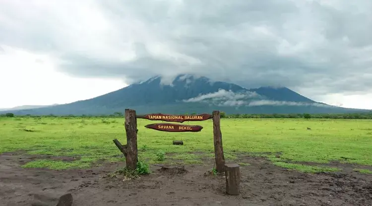 Taman Nasional Baluran