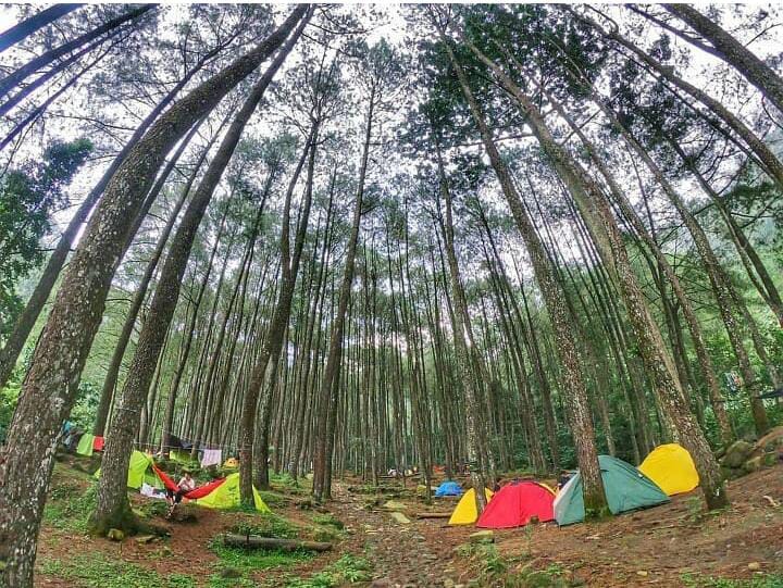 Kawasan Penangkaran elang