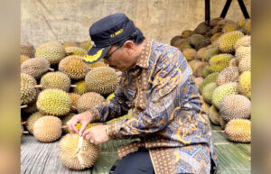 festival durian kuningan