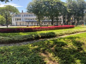 IMG_3632