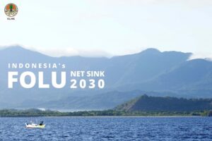 FOLU Net Sink 2030