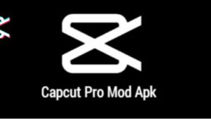Downloader CapCut