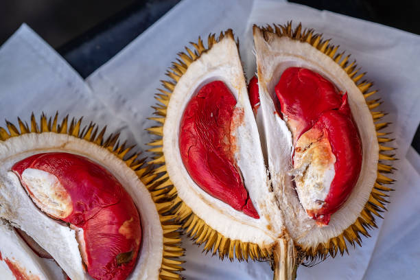fakta durian merah