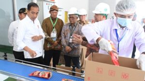Presiden Jokowi meninjau produksi minyak goreng merah