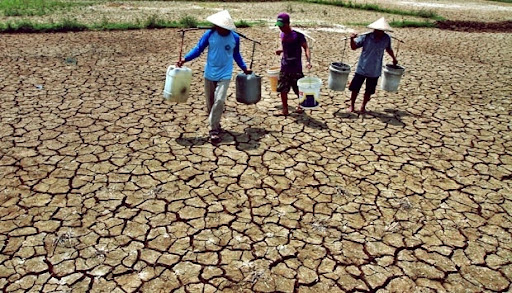 Kekeringan Akibat El Nino di Indonesia Diprediksi Menggila, Jokowi Atur Strategi