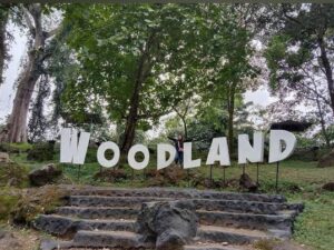 Wisata Woodland Kuningan