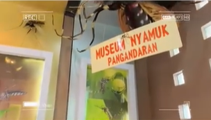 museum nyamuk