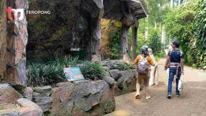 Libur Panjang, Bandung Zoo Masih Jadi Primadona Para Wisatawan