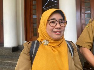 Dinkes Kota Bandung Catat Angka DBD