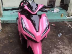 Fuchsia warna apa