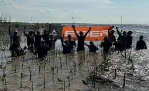 EIGER konservasi mangrove