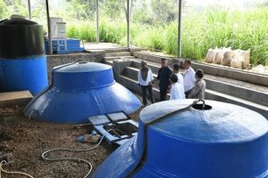 PLTS-Biogas