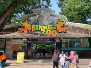 Bandung Zoo Bakal Berikan Tiket Masuk Gratis