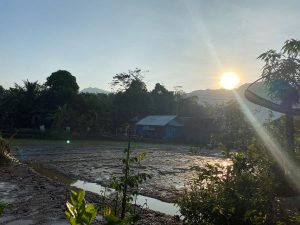 Pemkot Bandung Tekan Upaya Alih Fungsi Lahan Sawah