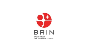 cpns brin 2024