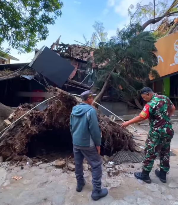 Pohon Tumbang Timpa 3 Bangunan dan 2 Kios di Bandung