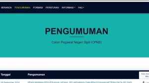 pengumuman seleksi administrasi cpns 2024